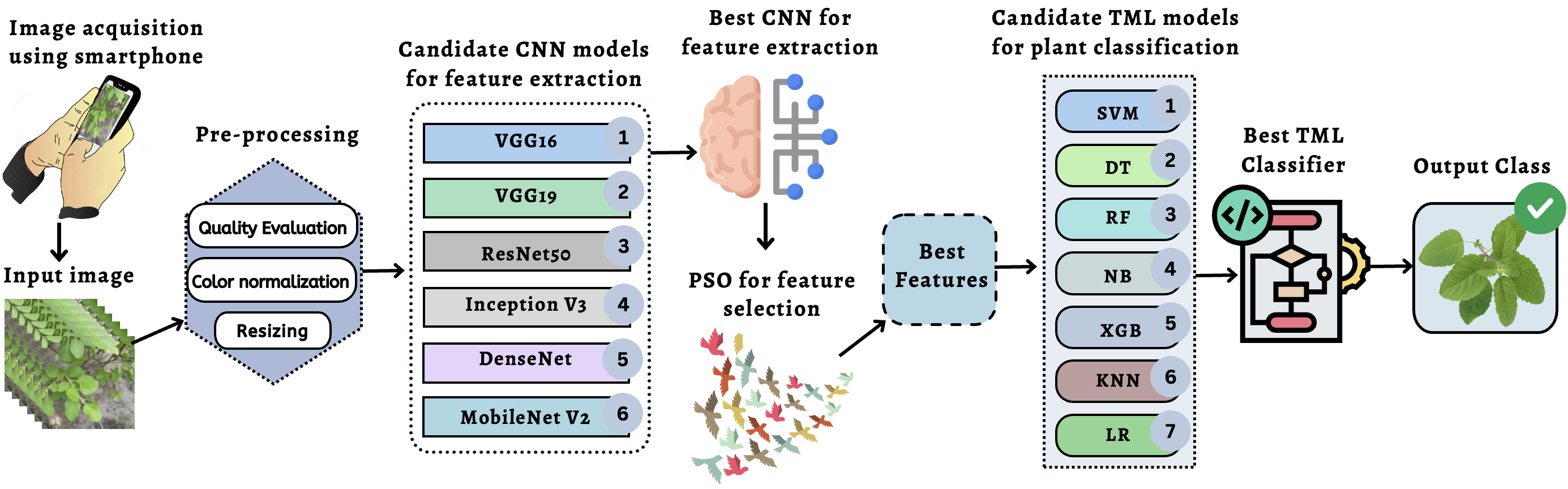Medicinal plant classification using particle swarm optimized cascaded network
