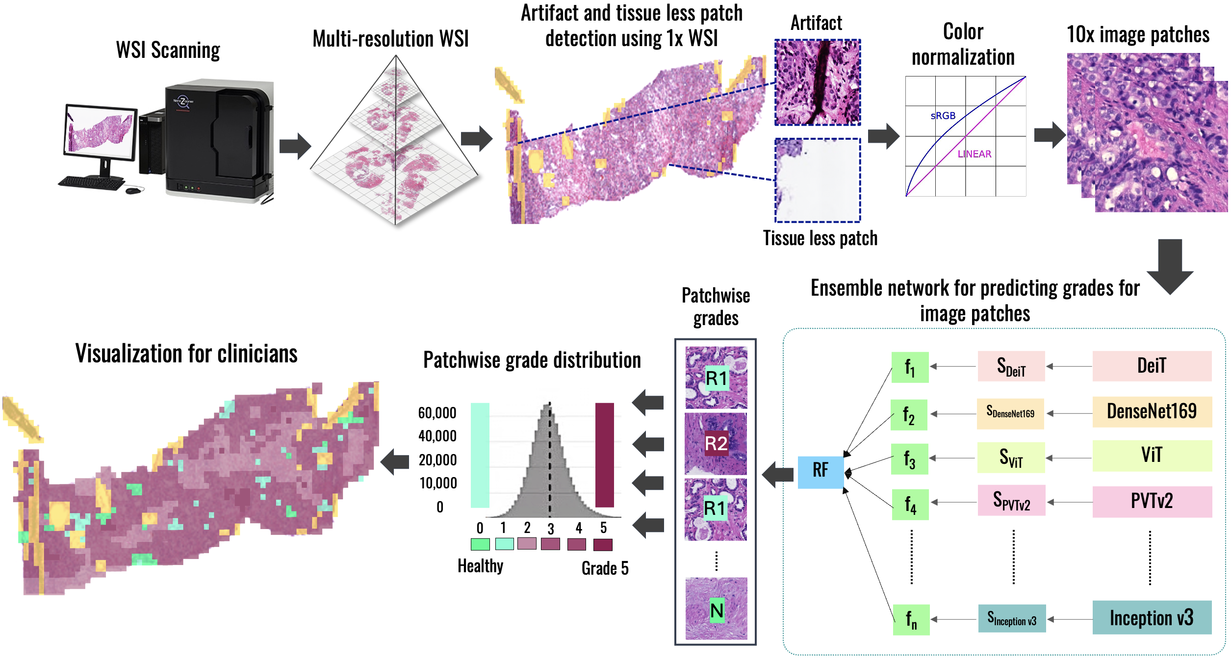 Automated Gleason Grading of Prostate Cancer from Low-Resolution Histopathology Images Using an Ensemble Network of CNN and Transformer Models