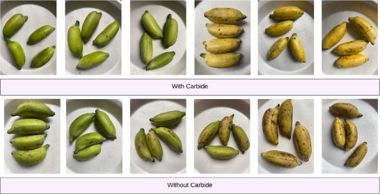 Ripen Banana Dataset: A Comprehensive Resource for Carbide Detection and Ripening Stage Analysis to Enhance Food Quality and Agricultural Efficiency